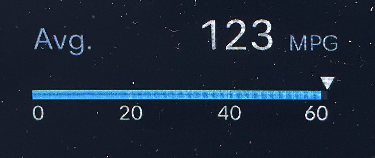 Рыжий tweet media