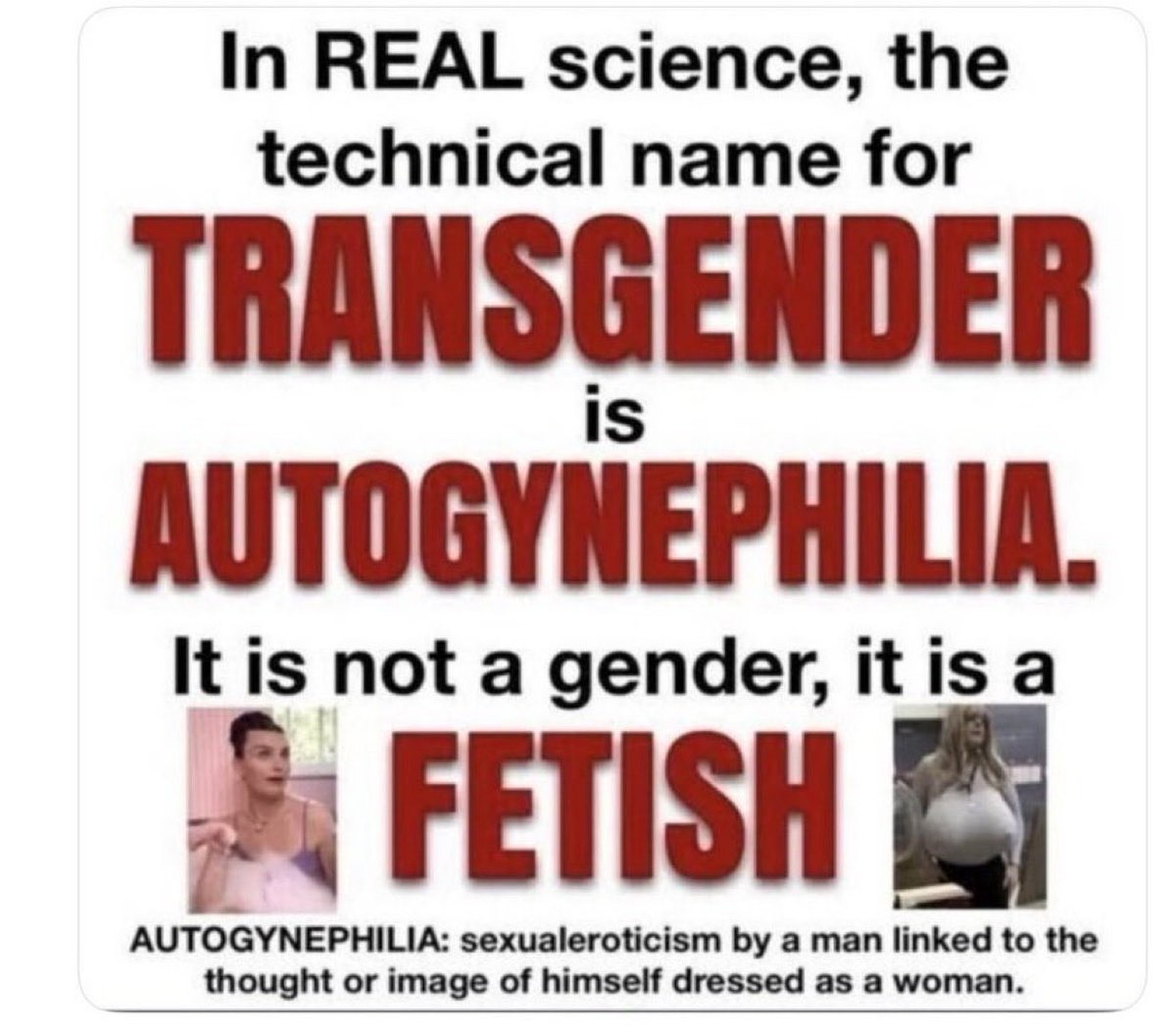 Wizard of Optics tweet media