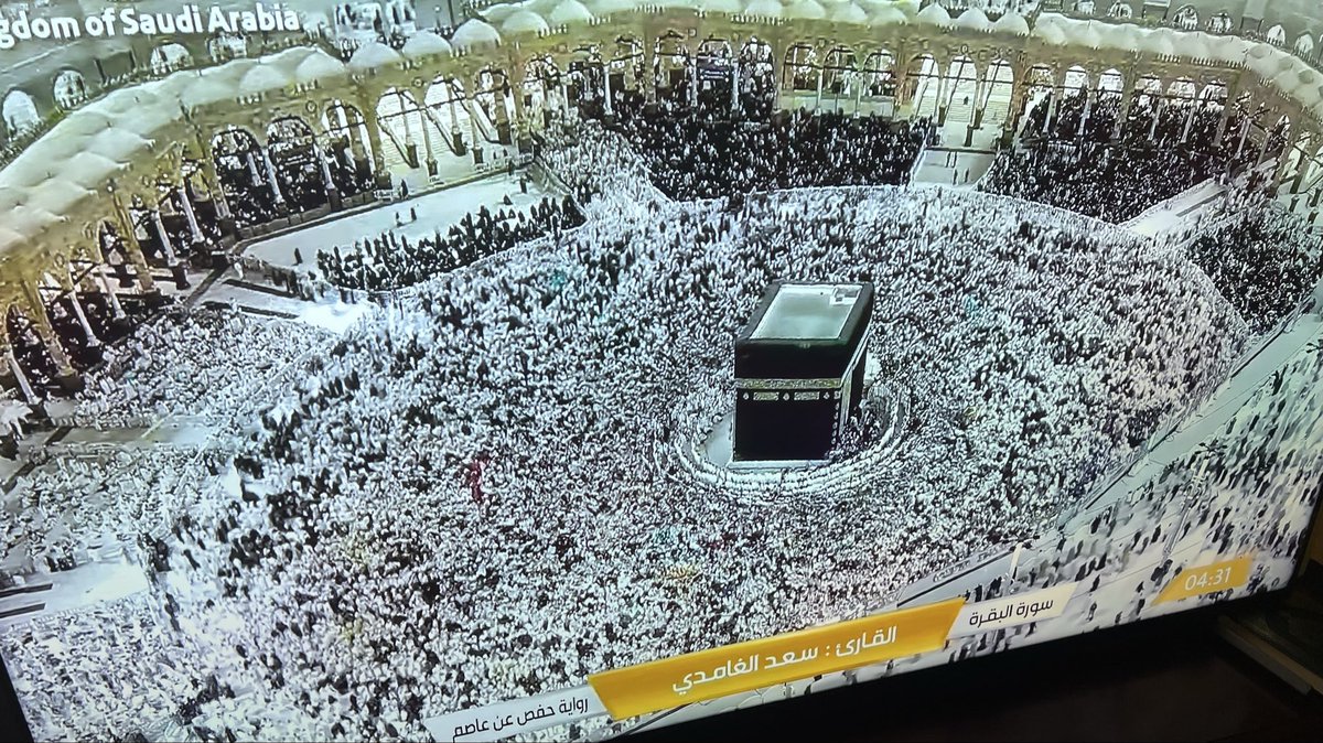 MAG.ellabban tweet media