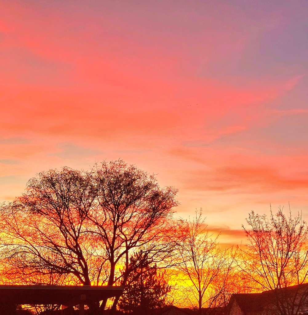 julie 💭 tweet media