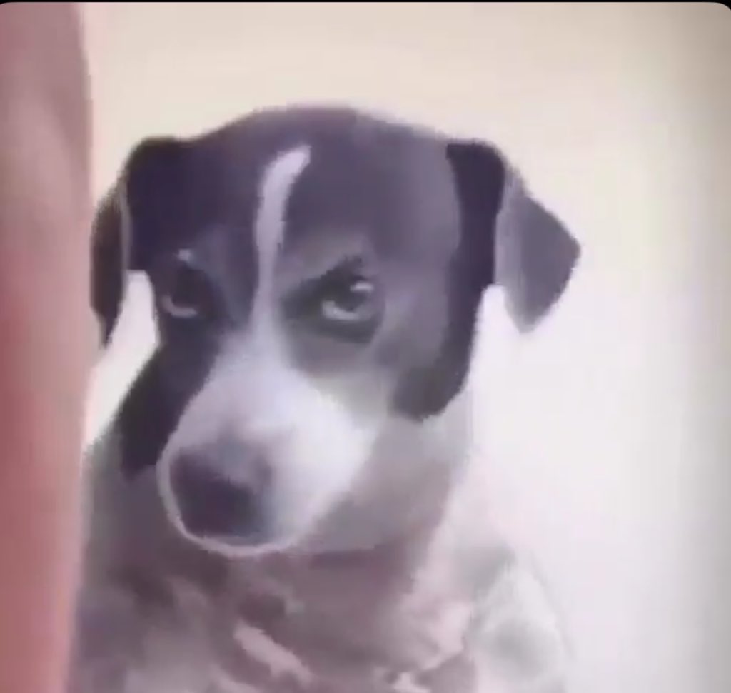 CruiseCurrentHQ 🌊 tweet media