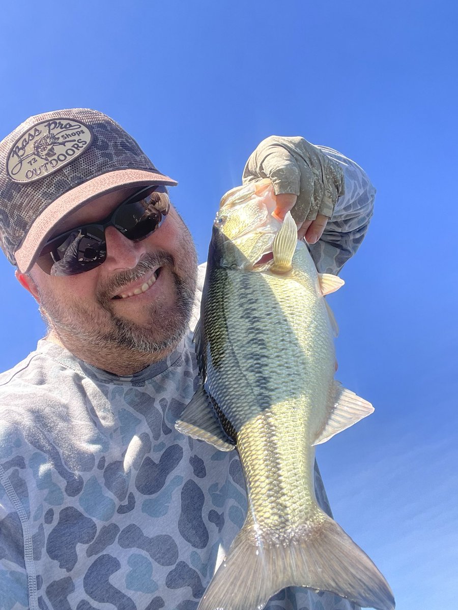 Ryan Glatter tweet media