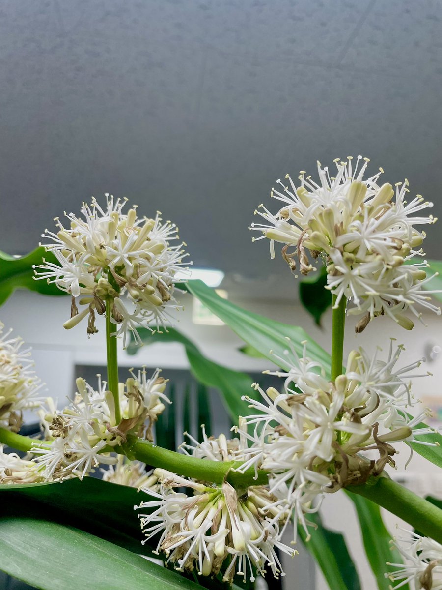 지방방송봇 tweet media