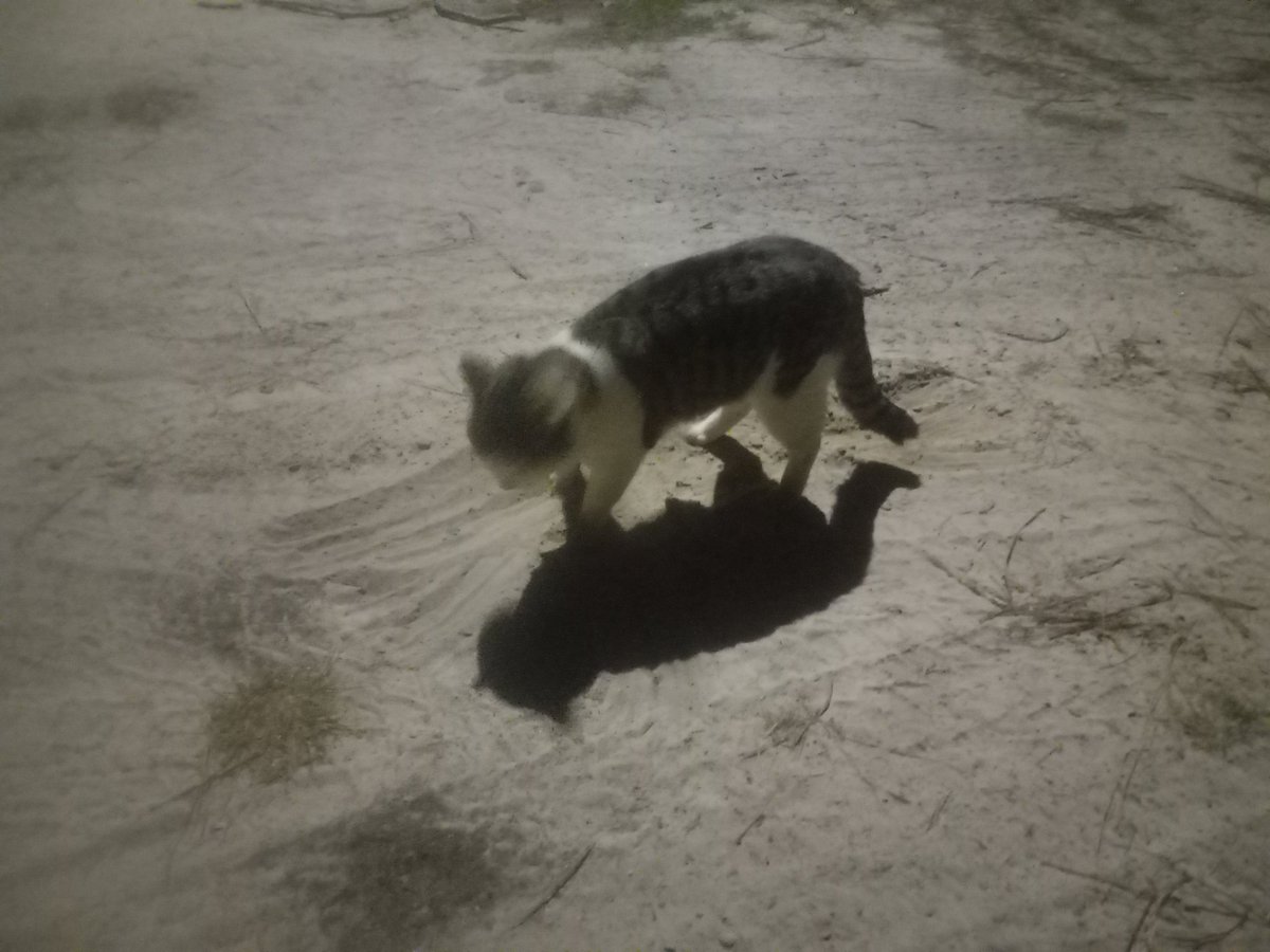 Trails I Travel⚜️ tweet media