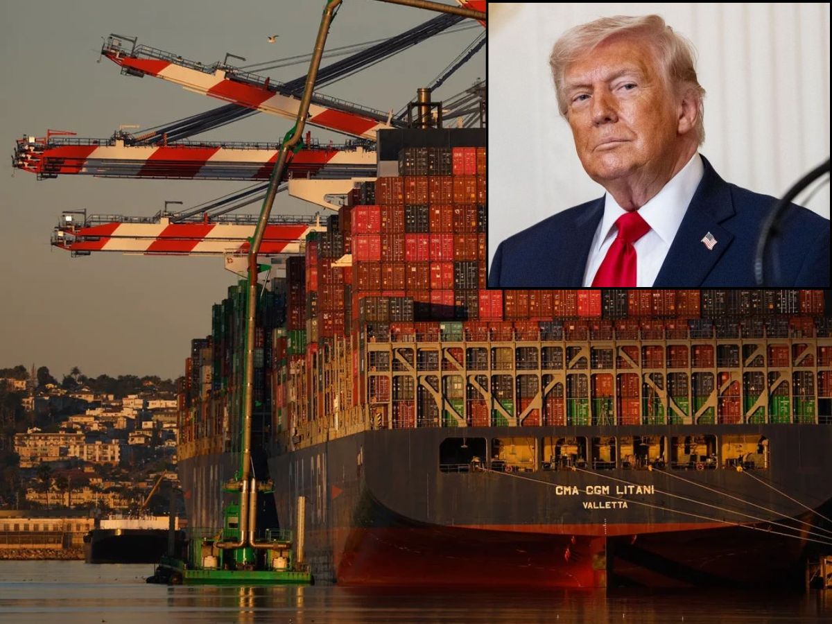 World Bit Wave 🌊 tweet media