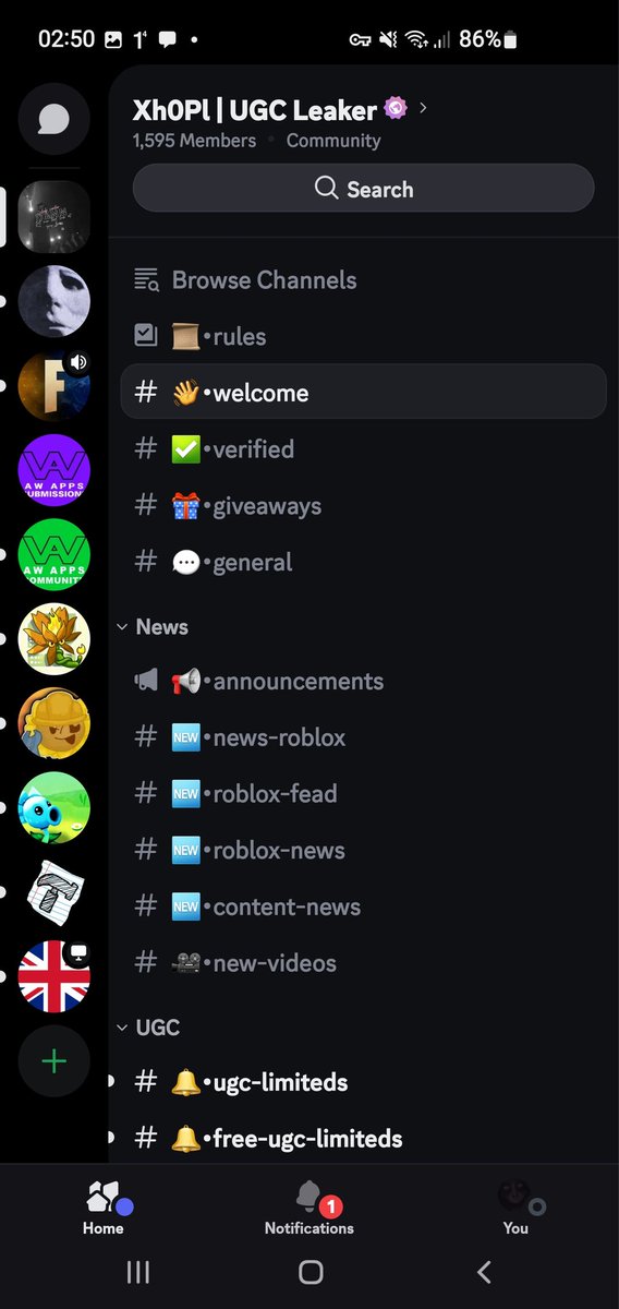 RosyFiled tweet media