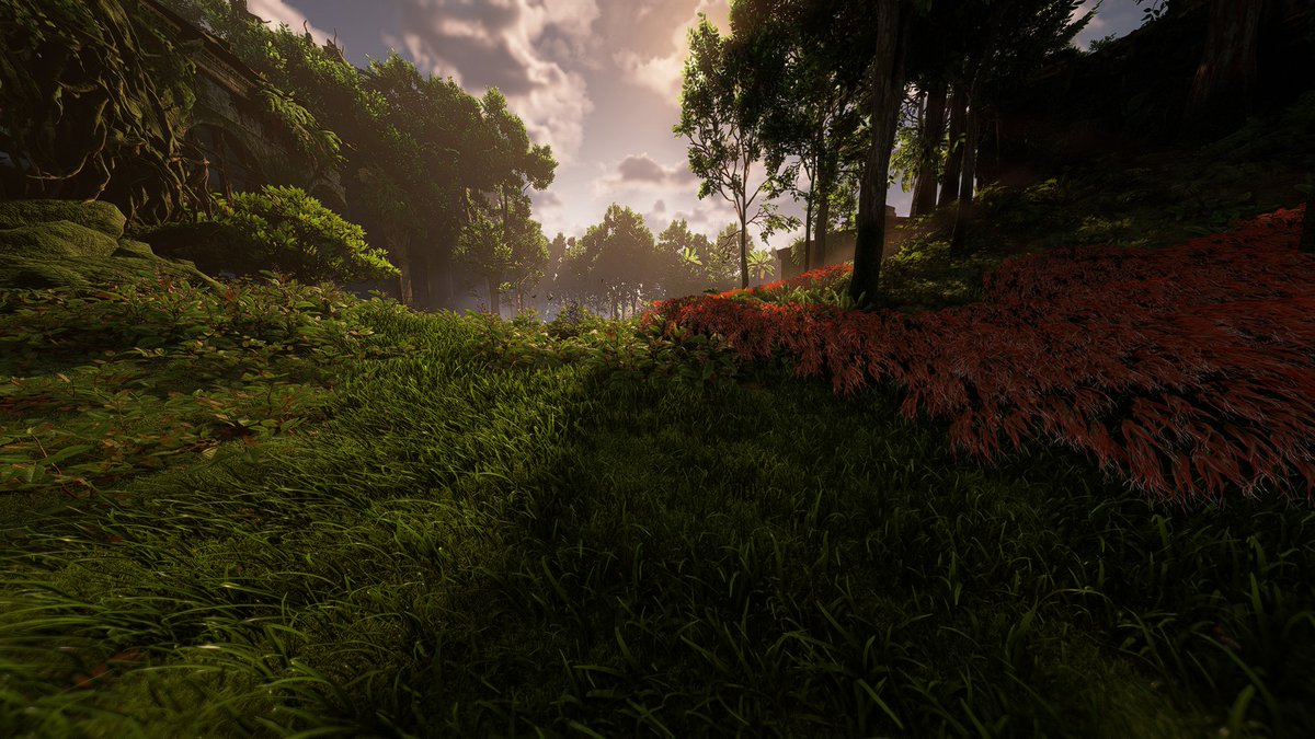 Eren 🎮 tweet media