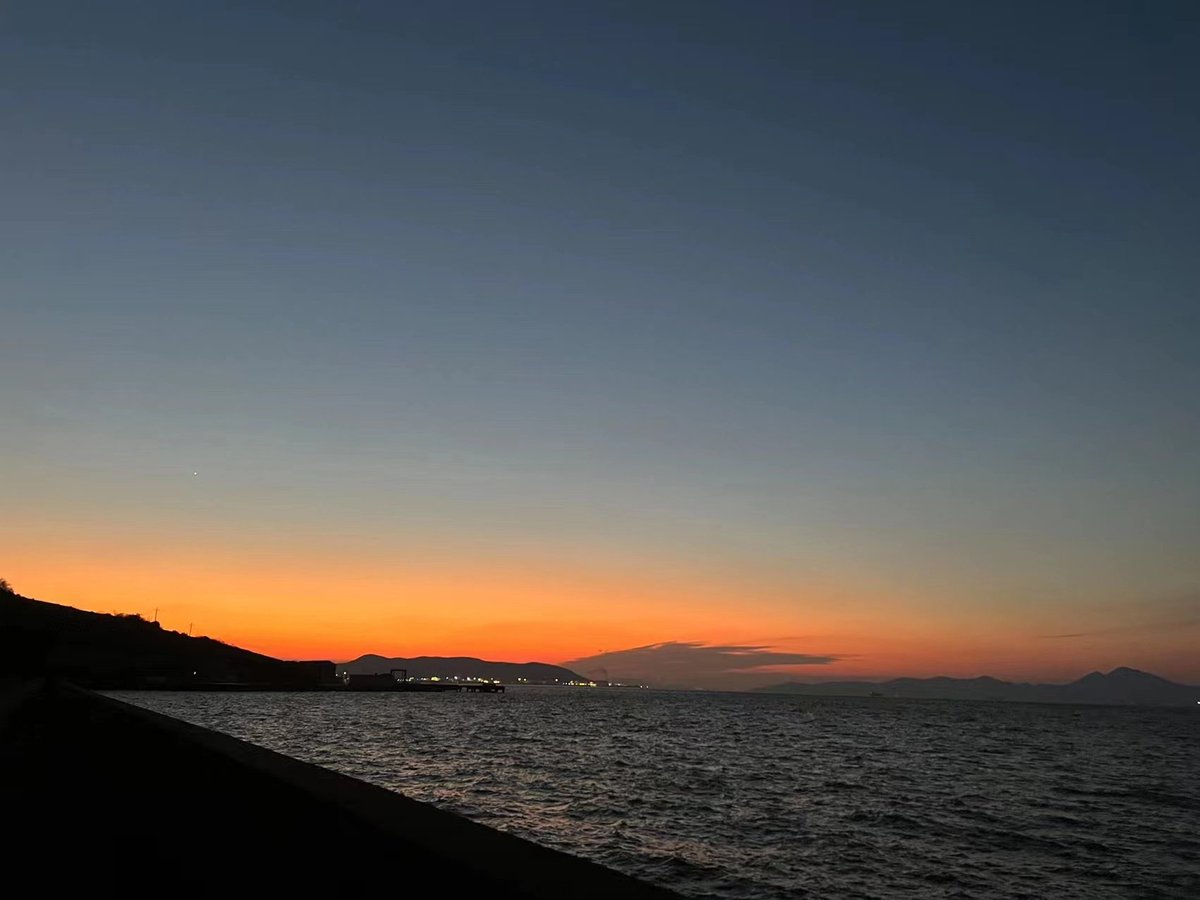 cici li（互fo） tweet media