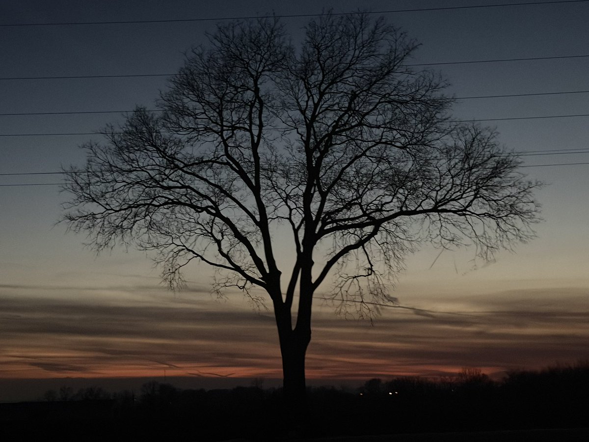 Papa Dino tweet media