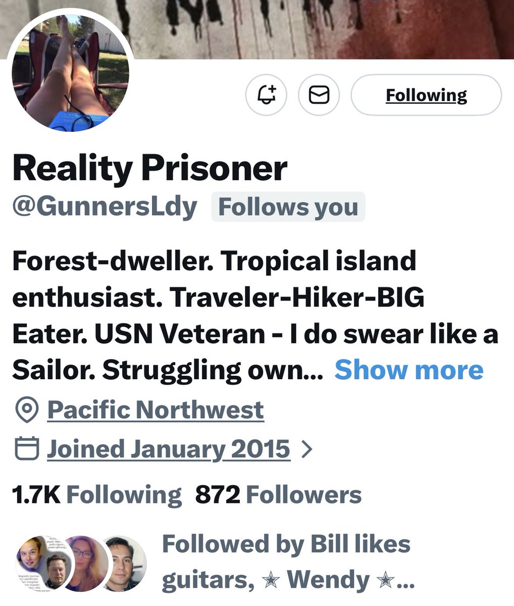 Turquoise Cat tweet media