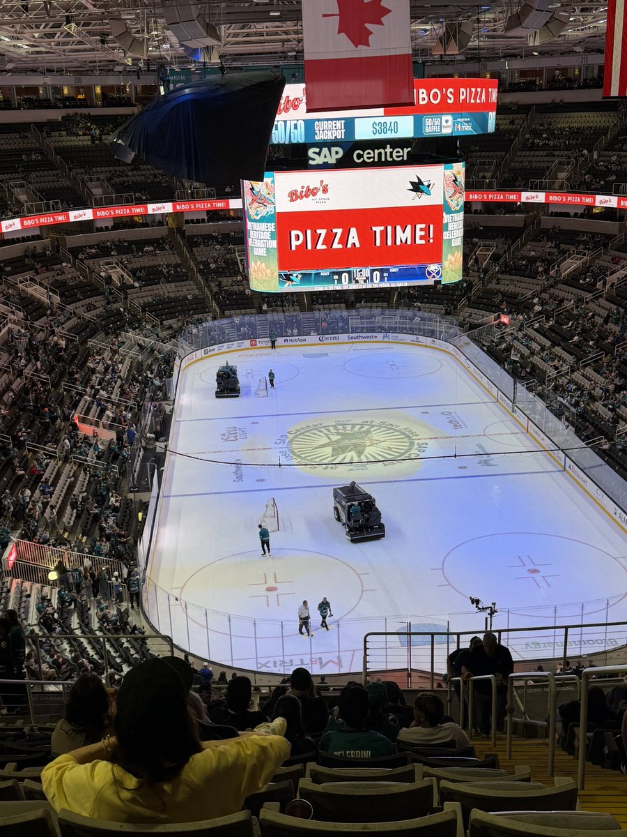 pluto 🦈⭐️ (comms open!) tweet media