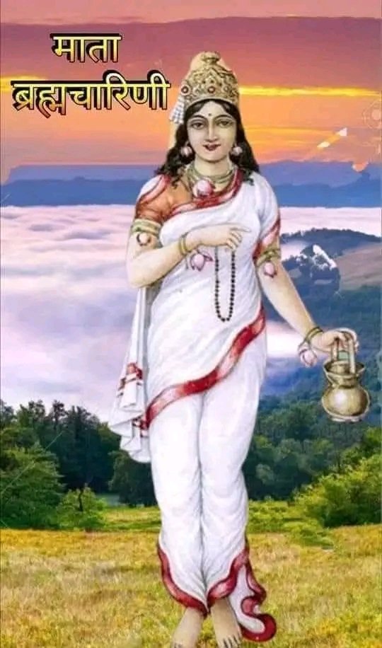 Sarita Chaubey tweet media