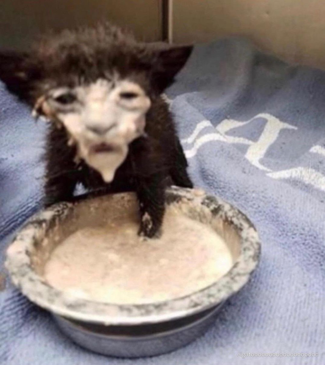 inspectreabed's tweet photo. me after i asked for buck angst and was given buck angst https://t.co/tgYJ5D6vk1