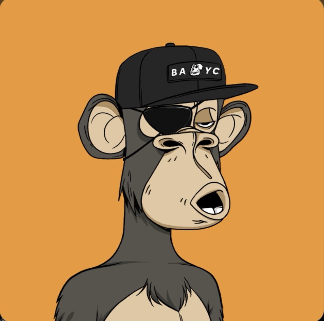 Tute - Law Trader tweet media