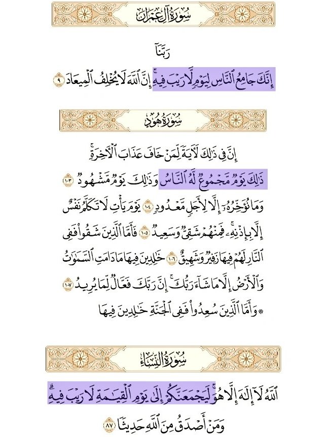 اتبعوا القران فقط tweet media