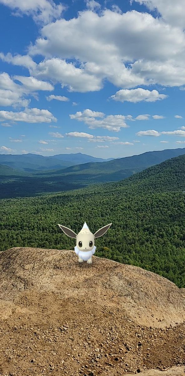 ✨Aipom✨ tweet media