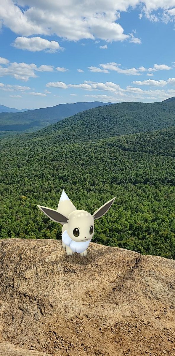 ✨Aipom✨ tweet media