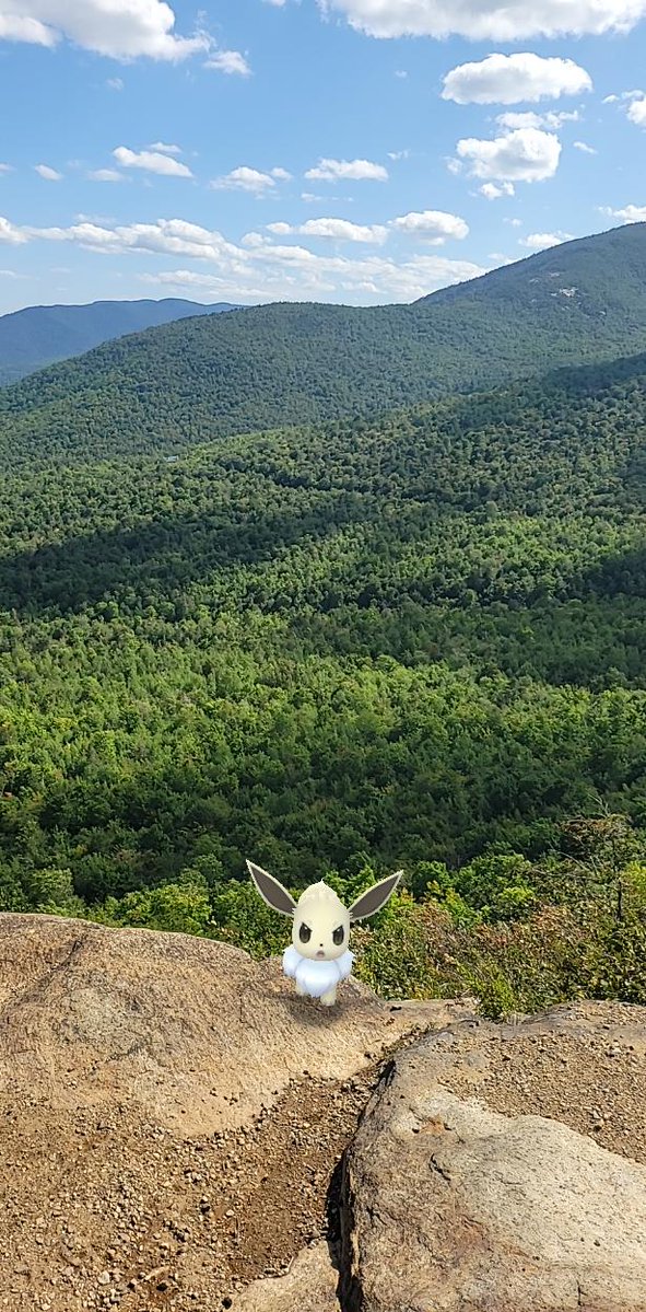 ✨Aipom✨ tweet media