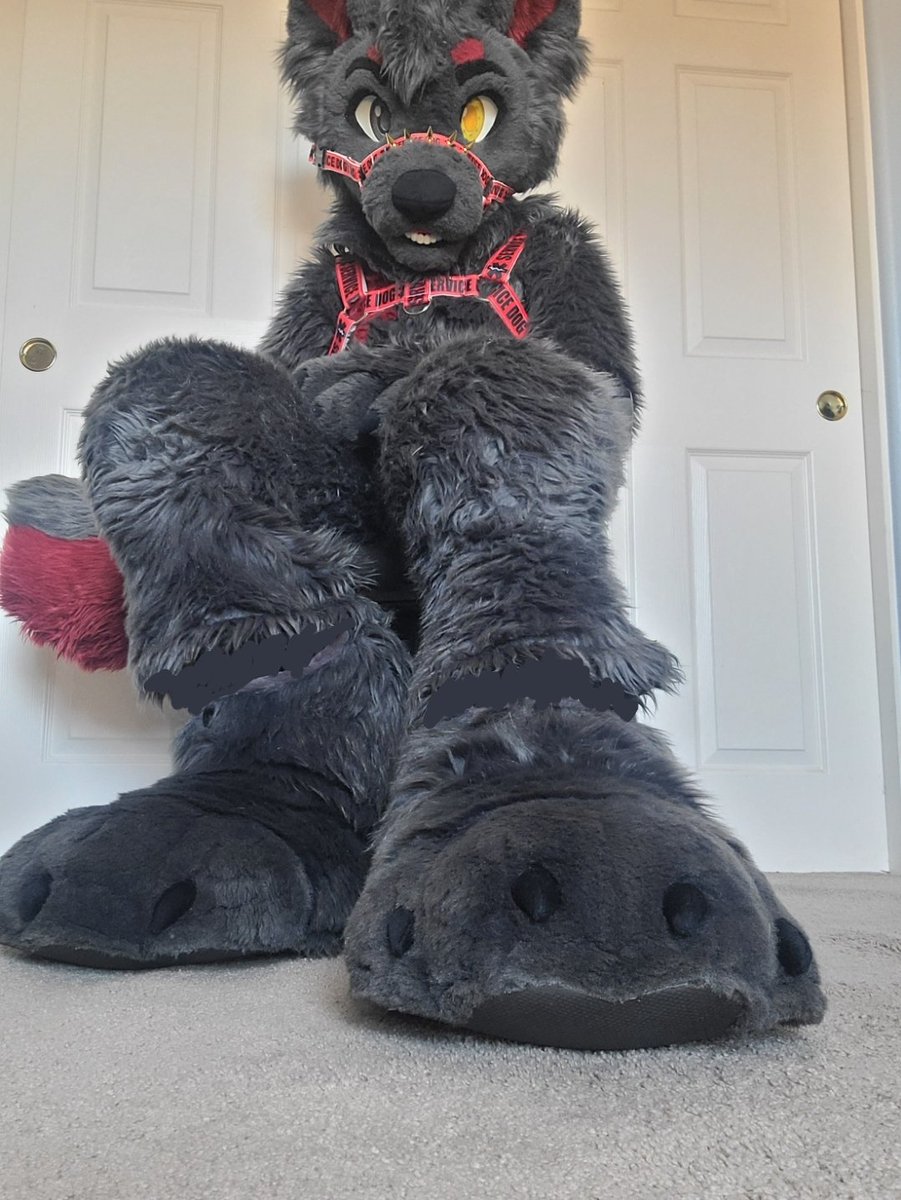 Hey Paw Lovers!
Go ahead. 
Praise them.
Worship them.
Kiss them. 
You know you want too~