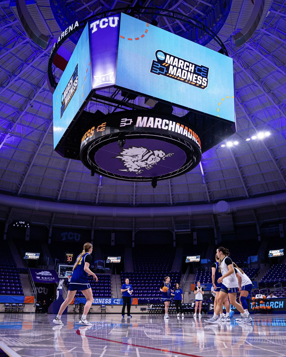 Jackrabbit WBB tweet media