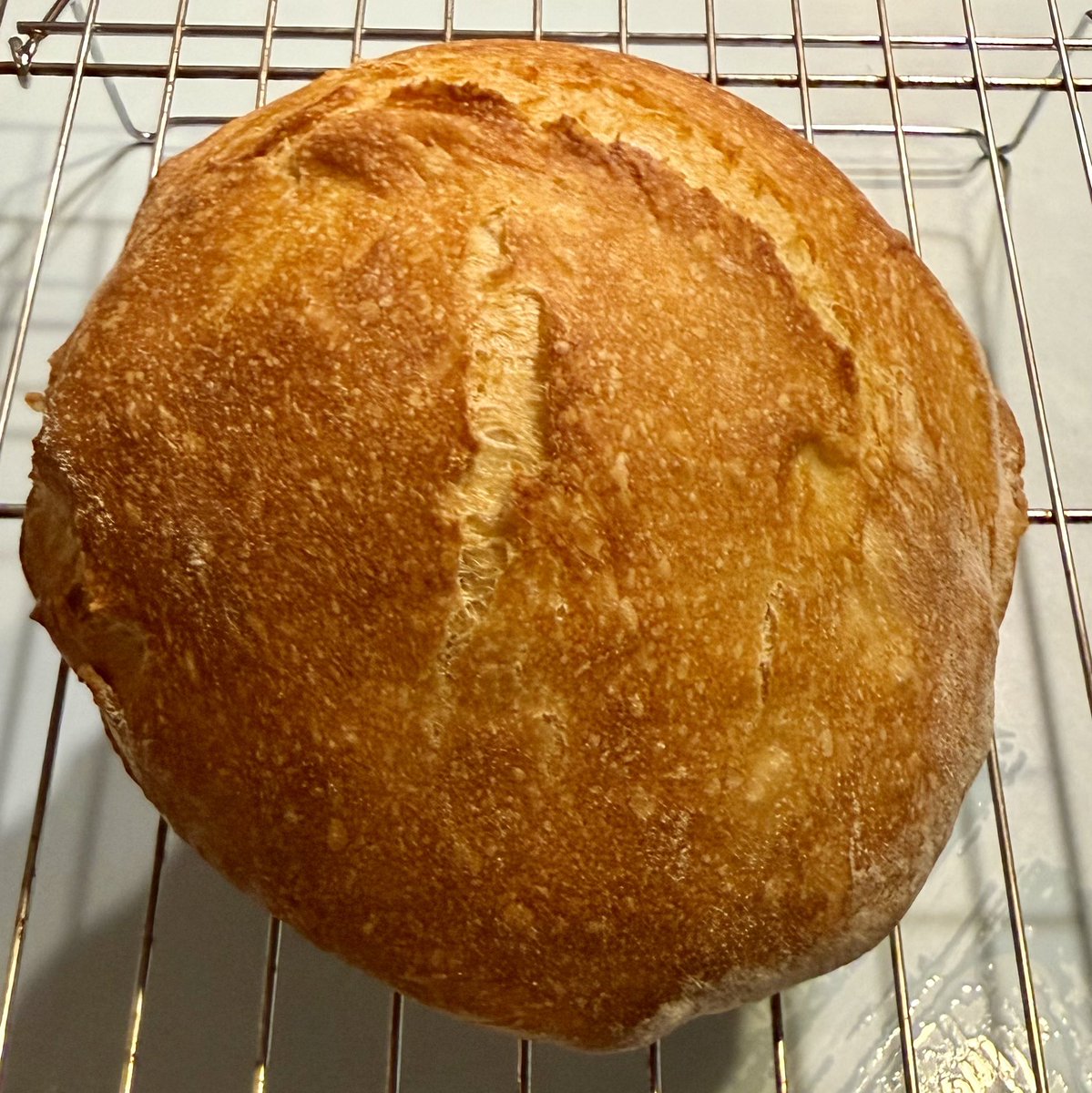 Mariann Bell tweet media