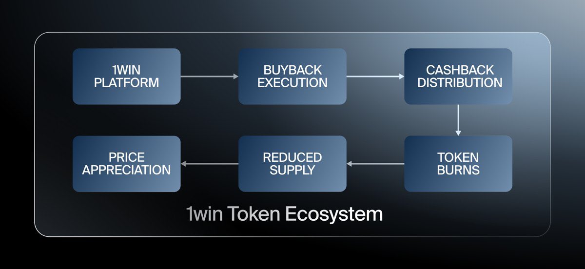 C I R U S tweet media