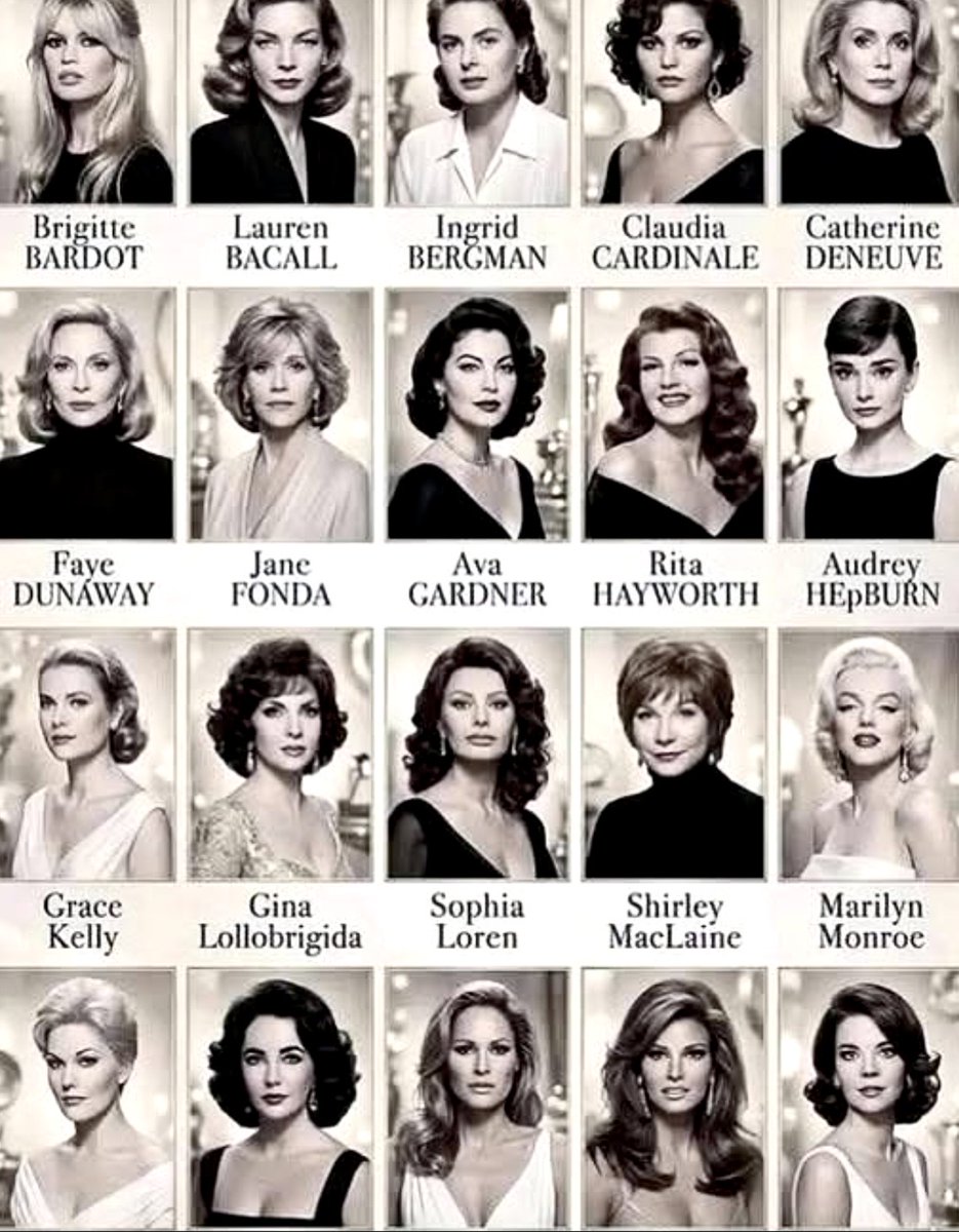 Denise 🤌🐾🇮🇹 tweet media