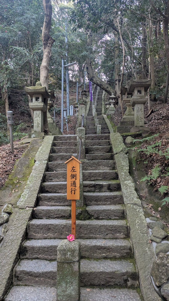 ウィンドラ@5/31 奈良ウルトラマラソン tweet media