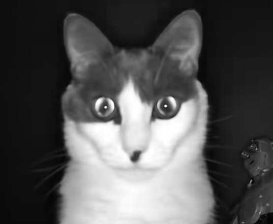 ㊡ Pill~ ㊡ tweet media