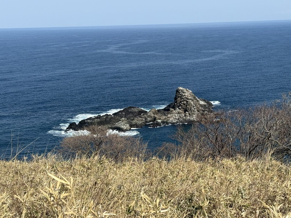 アニメニクス tweet media