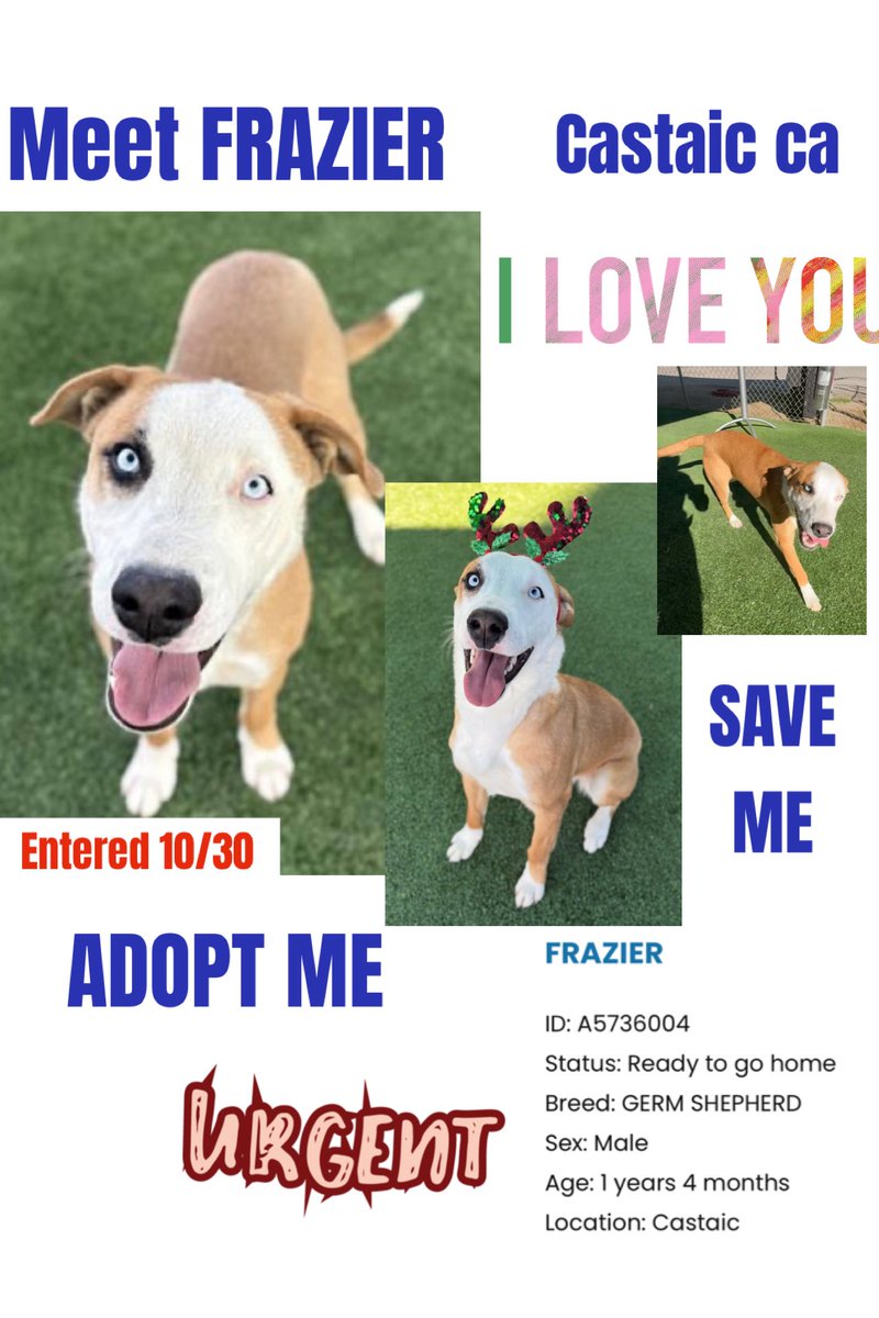 Sarah jane Gillespie tweet media