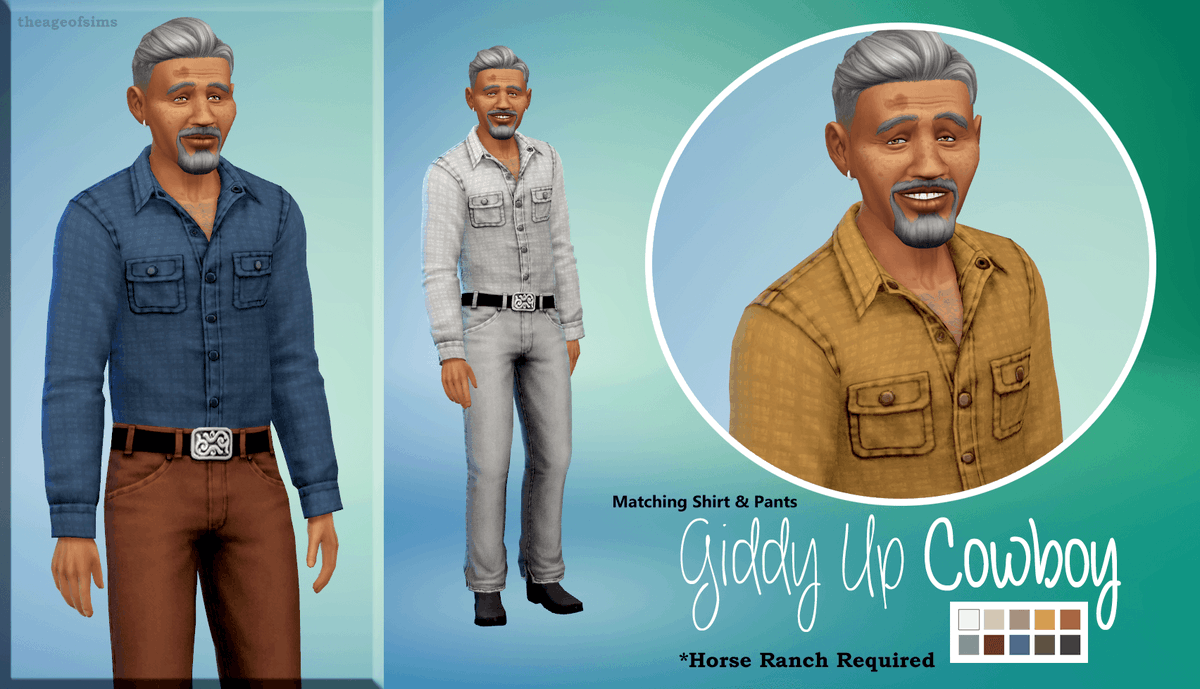 The Age Of Sims tweet media