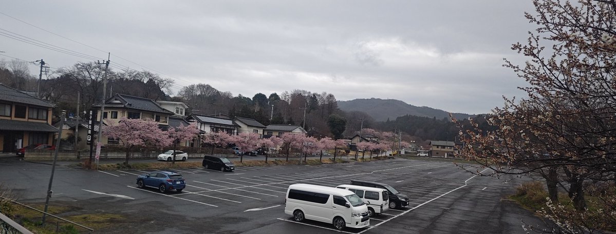 益子焼 木村製陶公式アカウント tweet media