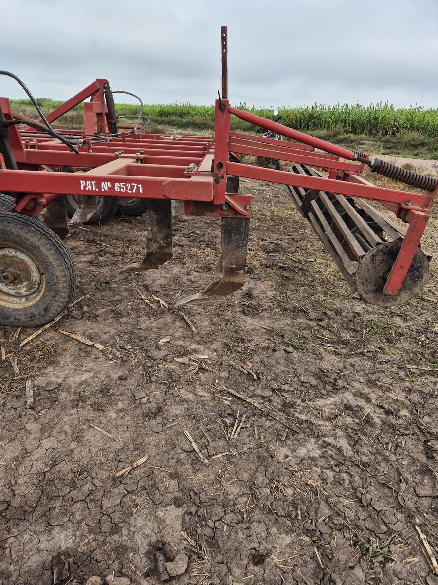 Sergio_J.C tweet media