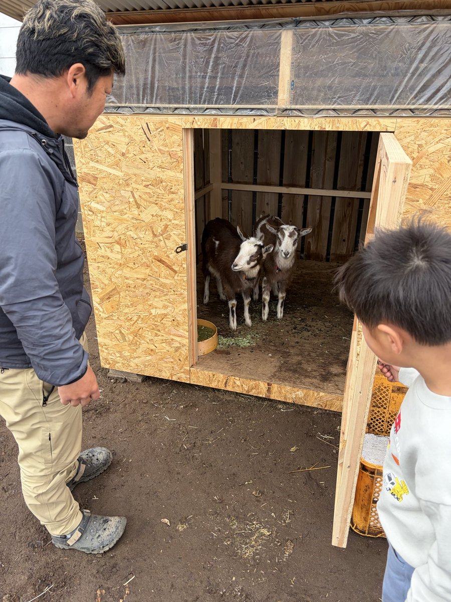 さとっぴおーぴー tweet media