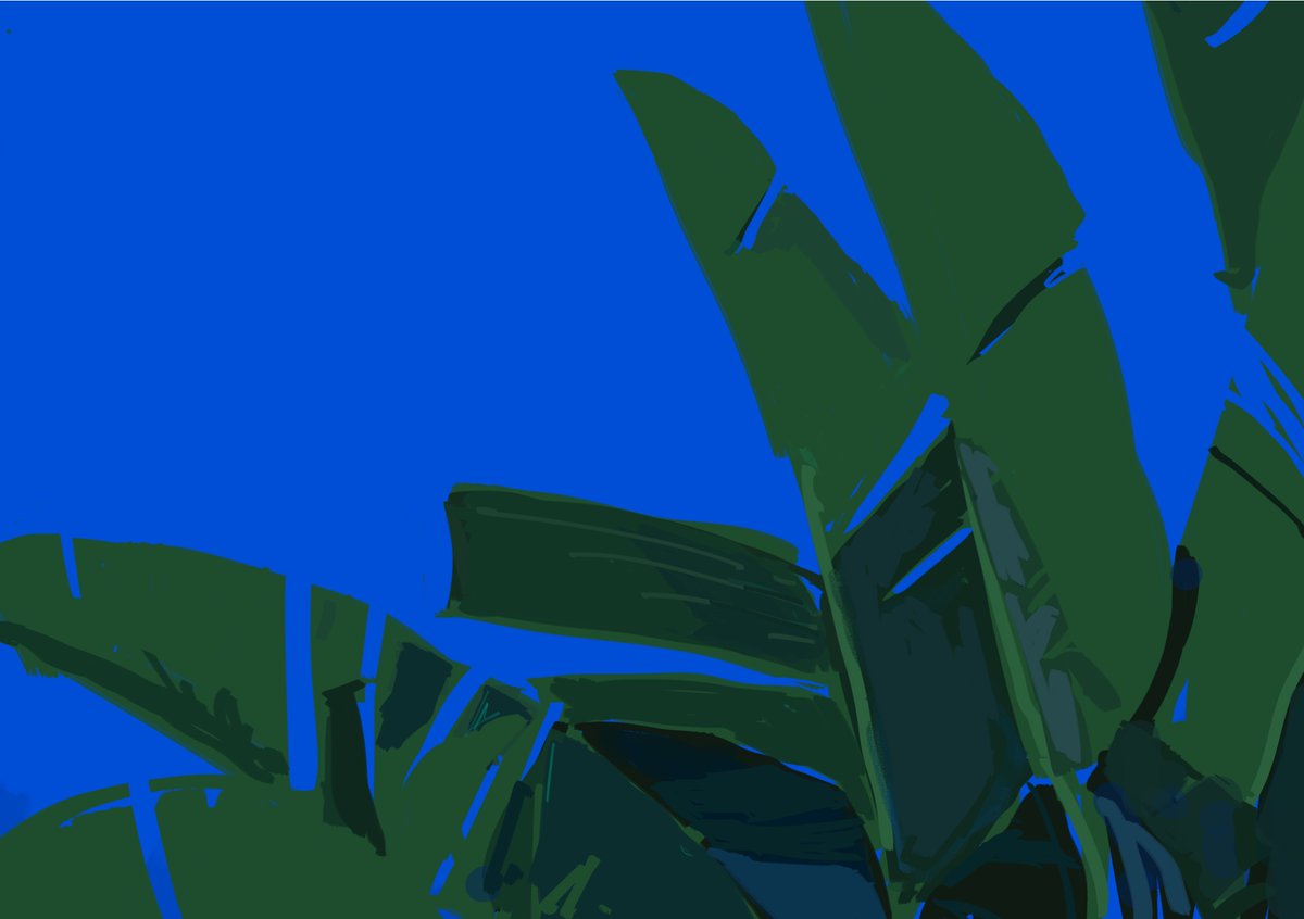 ミウラサイダー tweet media