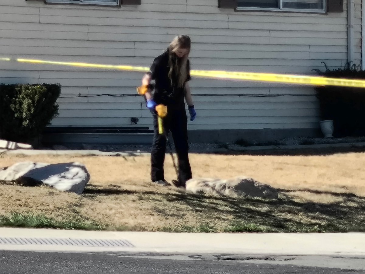 SLCScanner tweet media