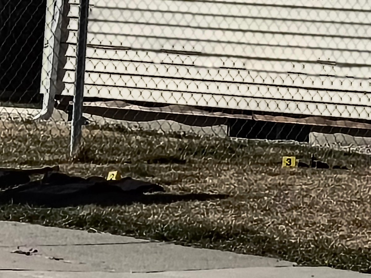 SLCScanner tweet media