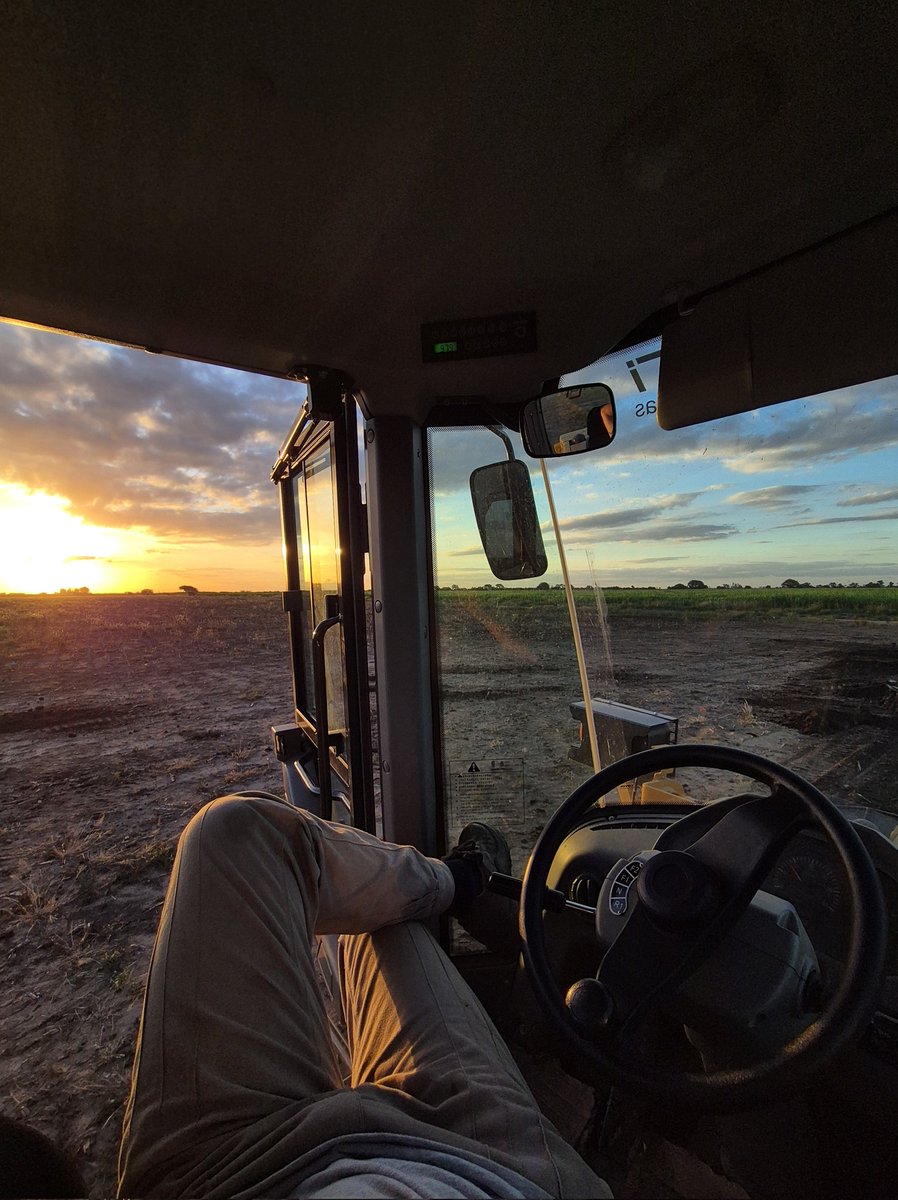 Sergio_J.C tweet media