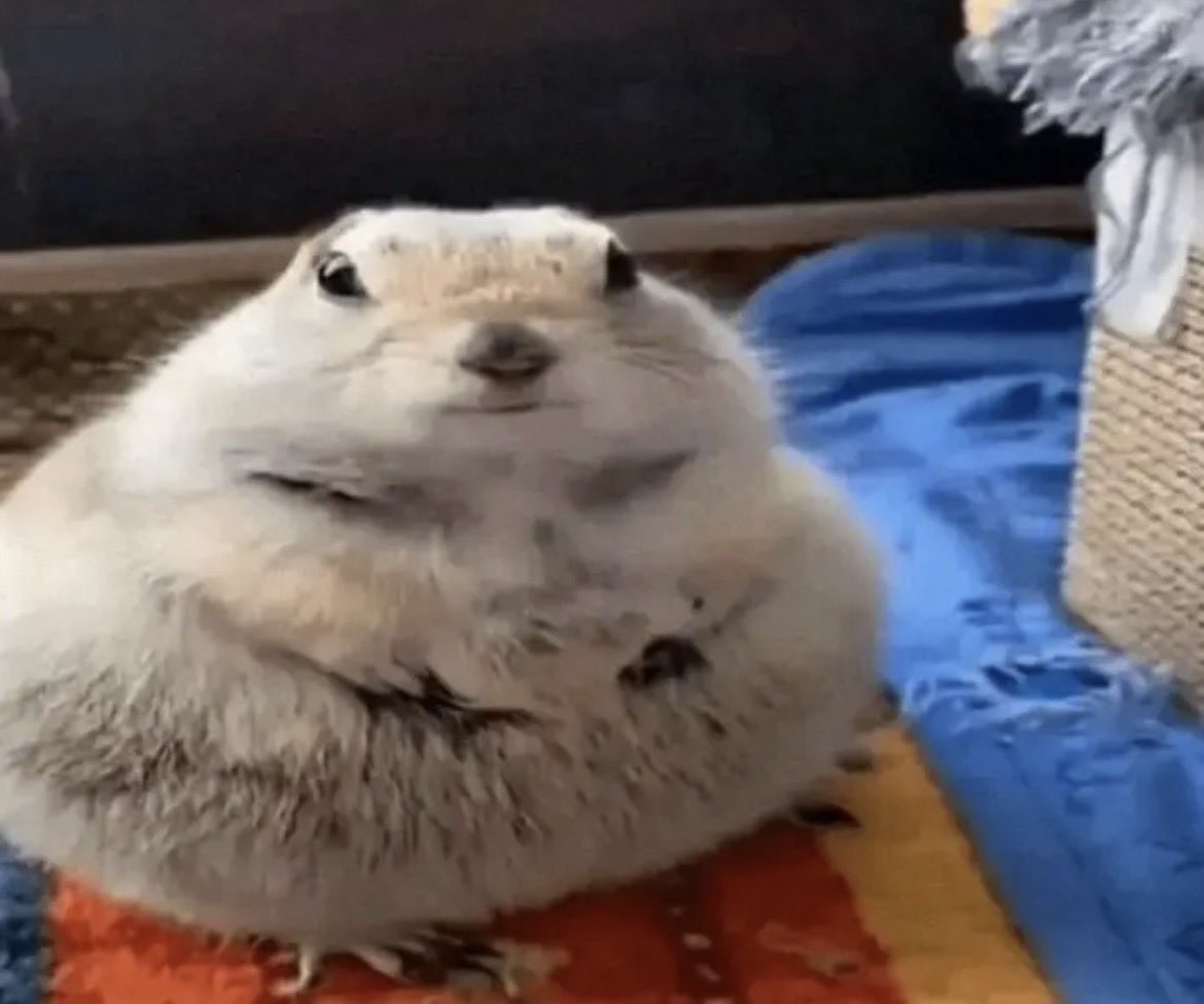 ♬ . niko + angel 🍓 tweet media