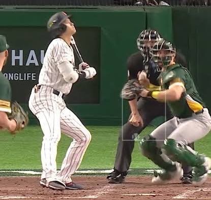 Hollee (Sydney Sox fan) tweet media