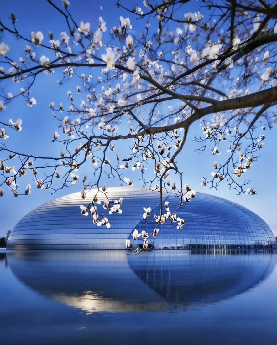 Zhu Jingyang tweet media