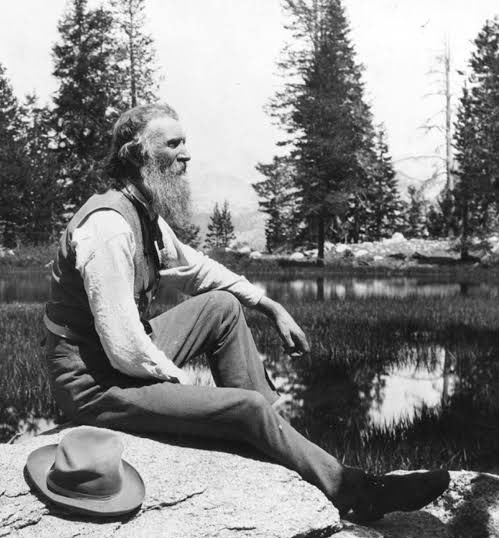 Natural Philosophy tweet media