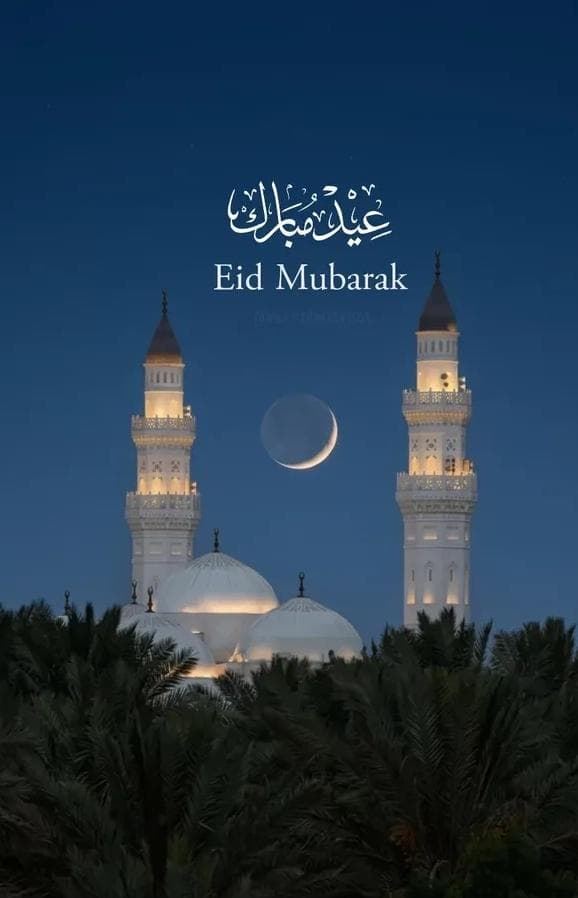 Saffi Ch. tweet media