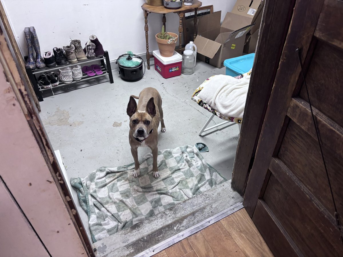 Pissed Off Panda 🐼👽😡 tweet media