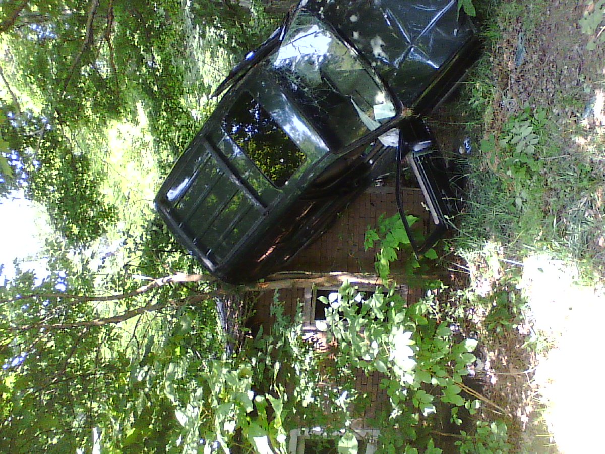 NACHO-GNATS tweet media