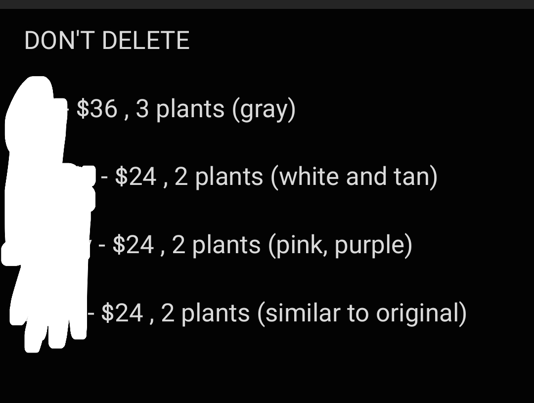 🧸ྀི Min tweet media