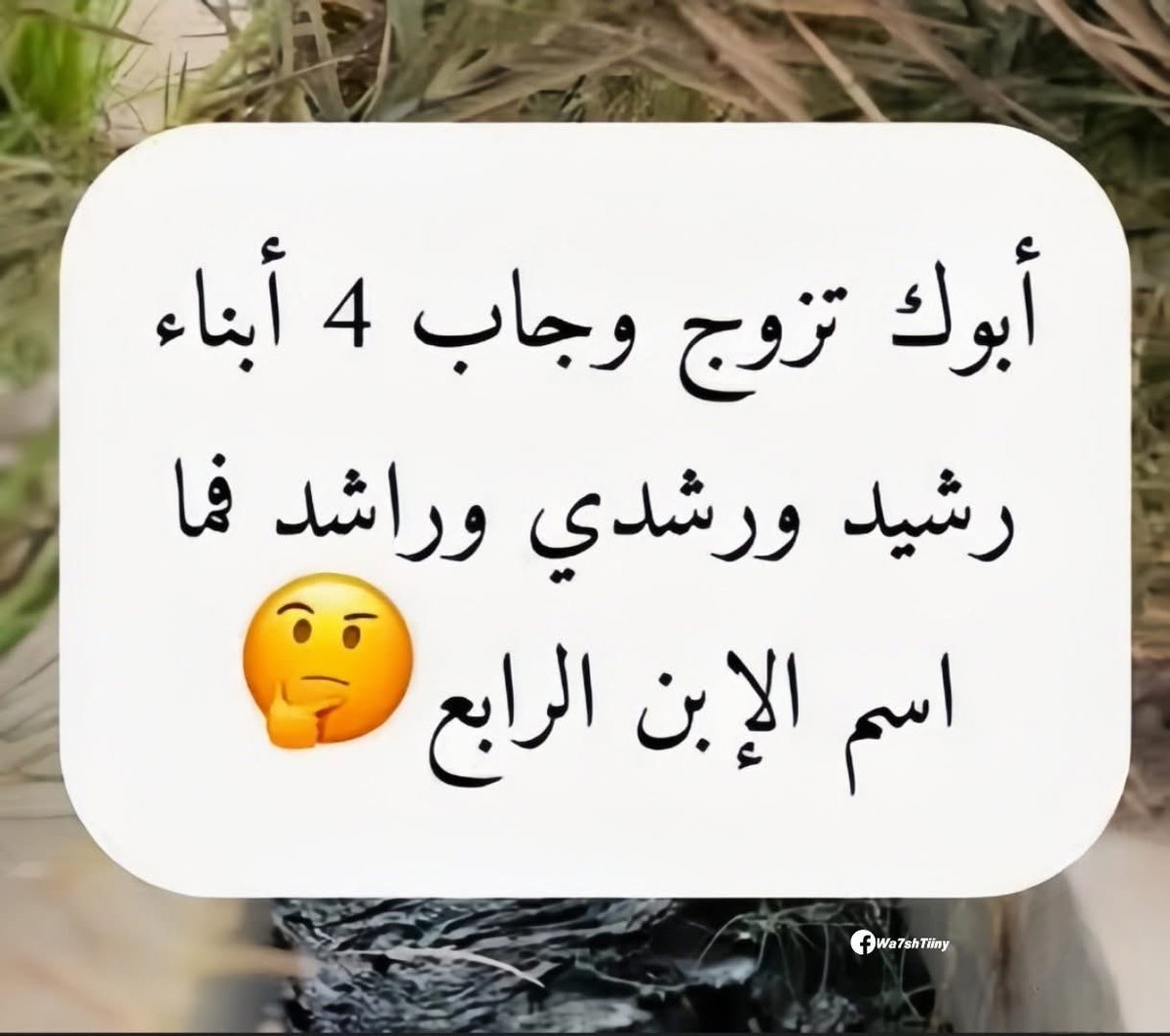 Arab Memes tweet media