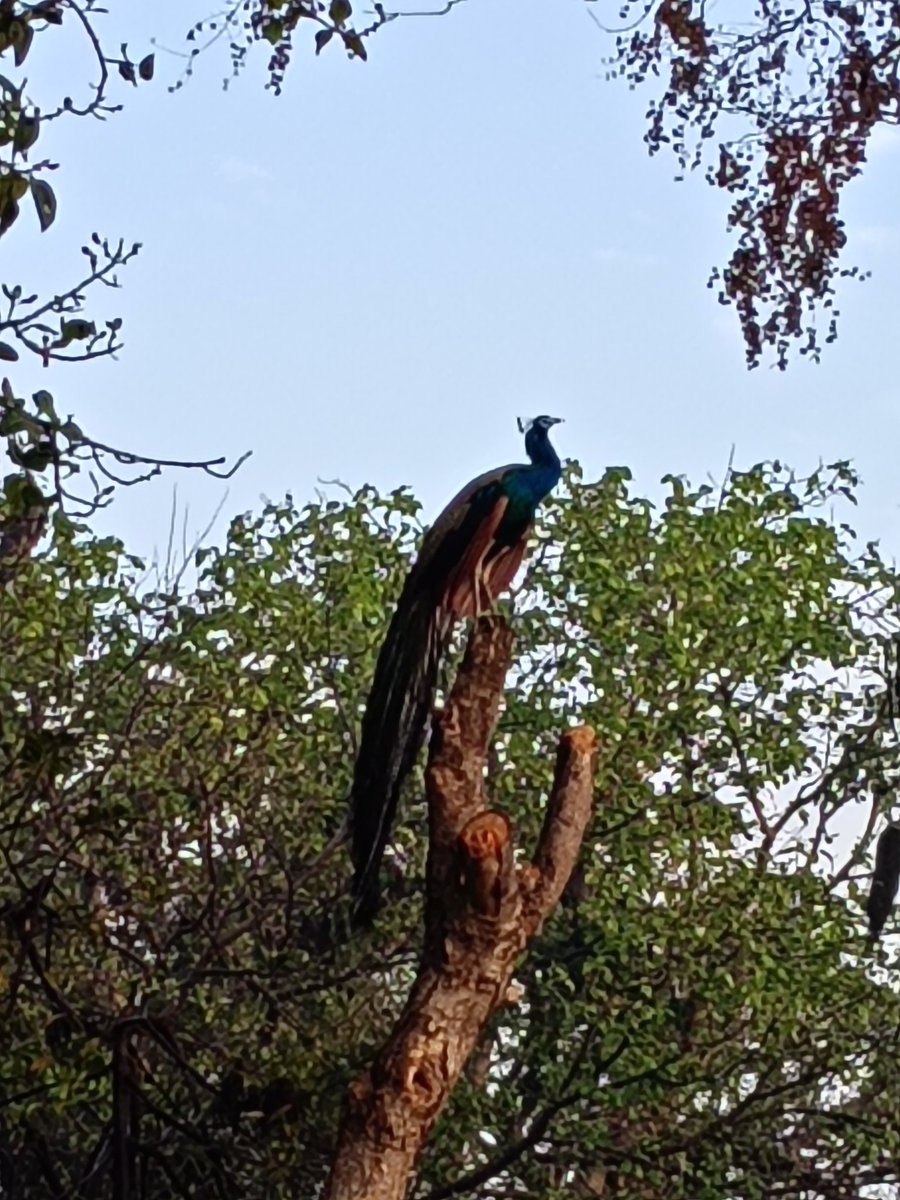 Mukesh Kumar tweet media