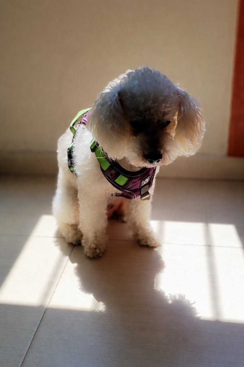 ⚛️Particle man⚛️ tweet media